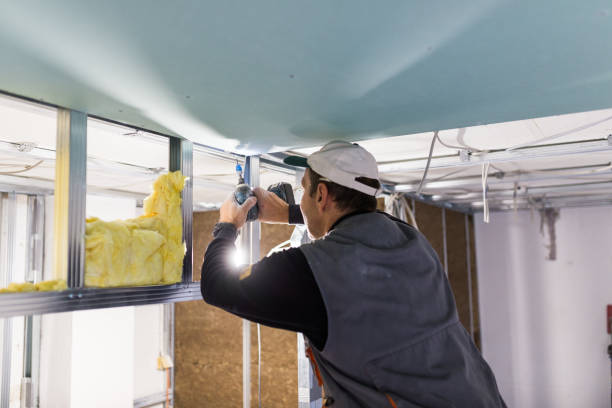 Types of Insulation We Offer in Long Lake, IL